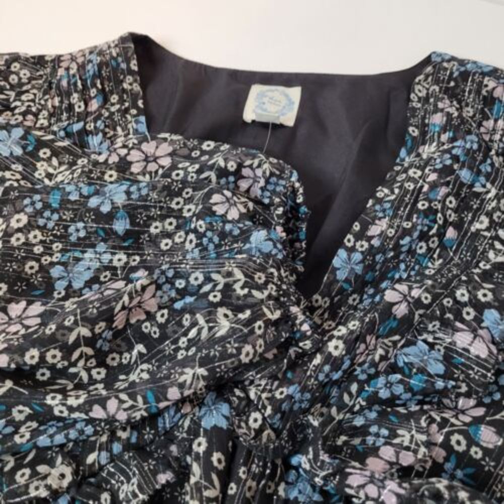 Blue Rain Francesca's Long Sleeve Black Floral Dress, Chiffon, Size Large, NWT